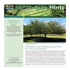 Summer 2023 Cover of LSU AgCenter Publication Horticulture Hints